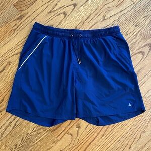 Vitality Blue Men’s Large 6 Inch Inseam High Quality Athletic Shorts w Liner
